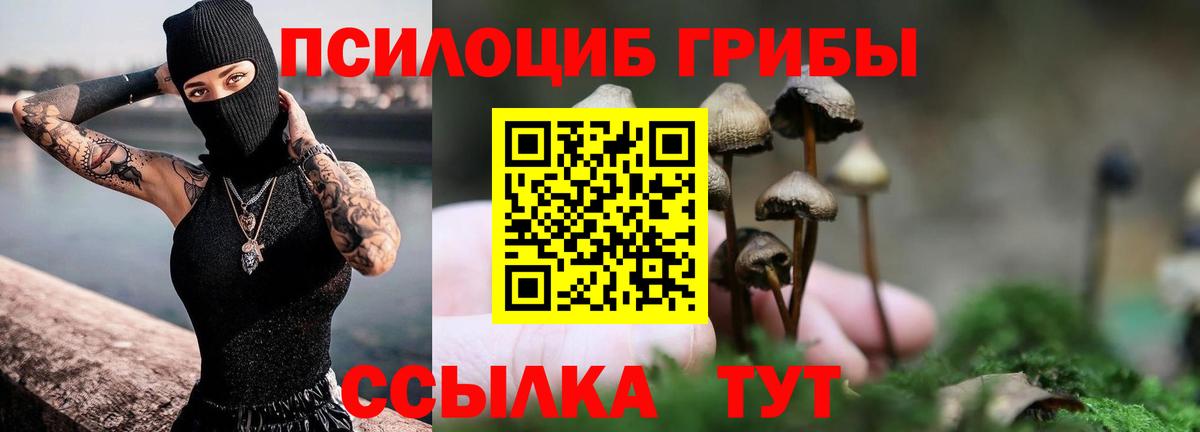 Псилоцибиновые грибы мицелий  Вход с VPN  Избербаш 
